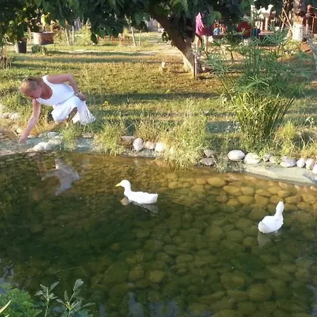 Camping Bay Efetto Lüks kamp alanı